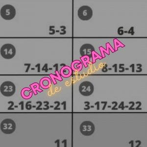 Cronograma de estudio